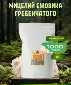 Lion's Mane Mushroom Mycelium Powder - 1000g Supplement