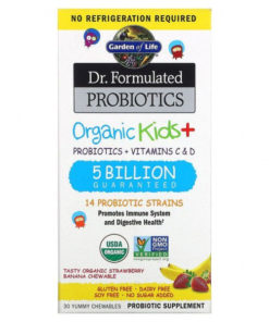 Garden of Life Dr. Formulated Organic Kids' Probiotics (30 Chewables)
