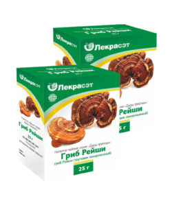 Reishi Mushroom Tea Bags (2 x 25g)
