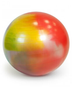 Gymnic Arte 65cm Ball with BRQ Ortho 95.36