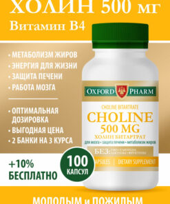 Choline 500mg Supplement