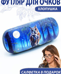 Corrective Glasses Case