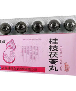 Gui Zhi Fu Ling Wan: 10 Pills for Blood Circulation & Women's Health