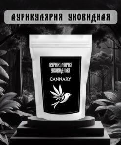Auricularia Auricula (Wood Ear) Mushroom 40g - Organic Hemp Food Supplement