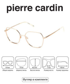 Pierre Cardin P.C. 8865 Gold Eyeglass Frames