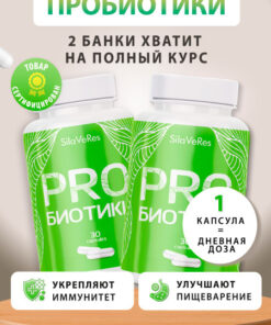 Gut Health Probiotics & Prebiotics for Adults: 60 Capsules