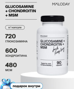 Glucosamine Chondroitin MSM for Joints & Ligaments - 90 Capsules
