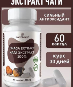 Chaga Extract Capsules: 60 x 500mg - WAY ORGANIC