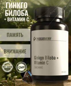 Ginkgo Biloba 120mg with Vitamin C: Boost Brain, Memory & Focus (60 Capsules)