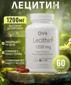 Lecithin 1200mg: Liver Support, Cholesterol & Brain Health - 60 Capsules
