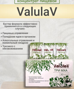 ValulaV 3-Mushroom Concentrate: 30 Sachets (5g Each)