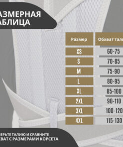Posture Corrector