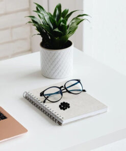 Eyeglass Holder