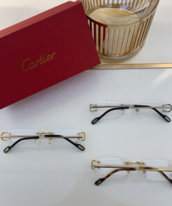 Eyeglasses Frames