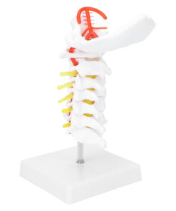 Posture Corrector