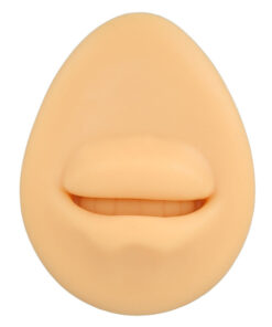 Silicone Dental Model