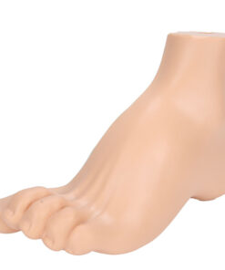 Arched Foot Model