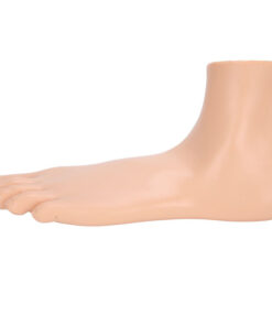 Human Foot Model