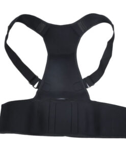 Back Support Belt