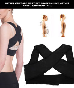 Back Brace