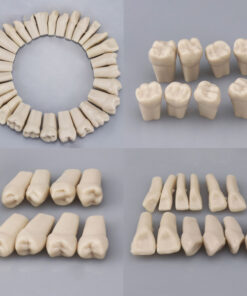 Bone Graft Material