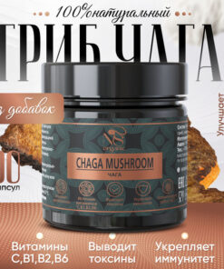 Natural Birch Chaga, 90 Capsules