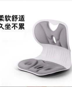 Posture Corrector