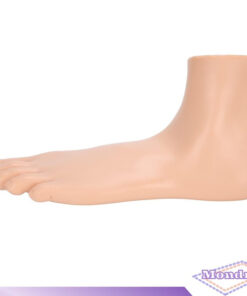 Human Foot Model