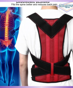 Manual Therapy Belts