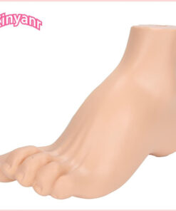 Human Foot Model