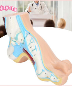 Foot Corrector