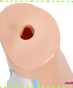 Curved Foot Model: Understanding Arch Support