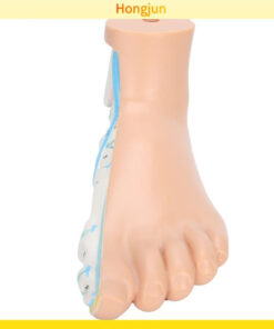 Foot Corrector