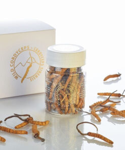 CORDYPOWER Cordyceps Mushroom - 10g Dried Natural Powder | Cordyceps Sinensis