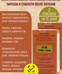 Bu Yang Huan Wu Dan 2 Packs (192 Pills) | Stroke Recovery | Five Element Formula 1019