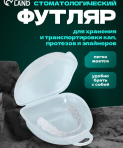 Clear 8x7x3cm Denture Storage Case